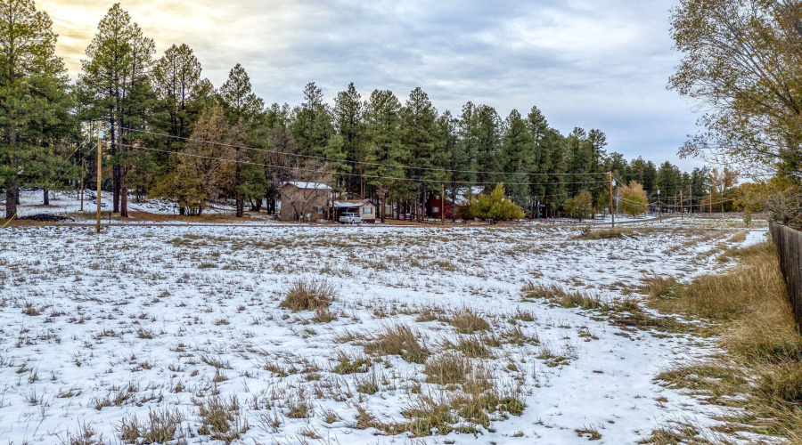 2445SJanLN-Pinetop-AZ-15