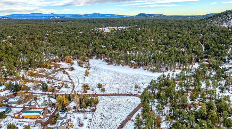 2445SJanLN-Pinetop-AZ-5