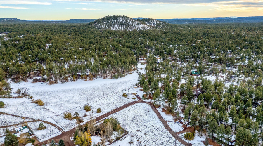 2445SJanLN-Pinetop-AZ-6