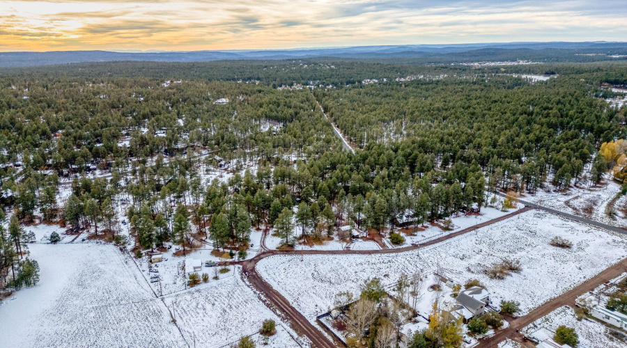 2445SJanLN-Pinetop-AZ-7