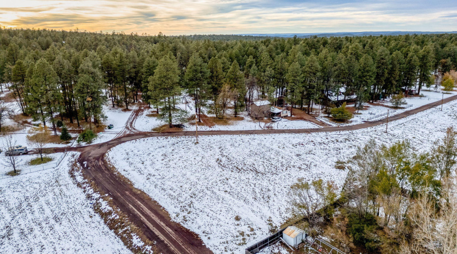 2445SJanLN-Pinetop-AZ-8