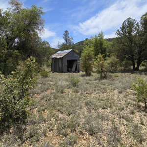 3Ac Shed W facing