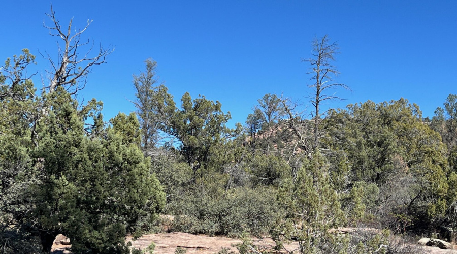 National forest on two sides