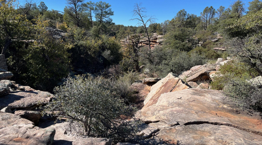 National Forest out your front door