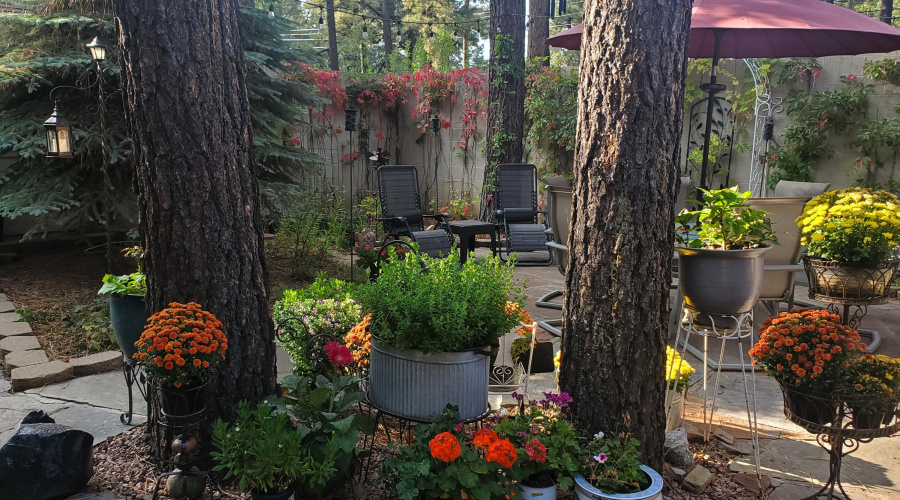 McAdam courtyard flowers