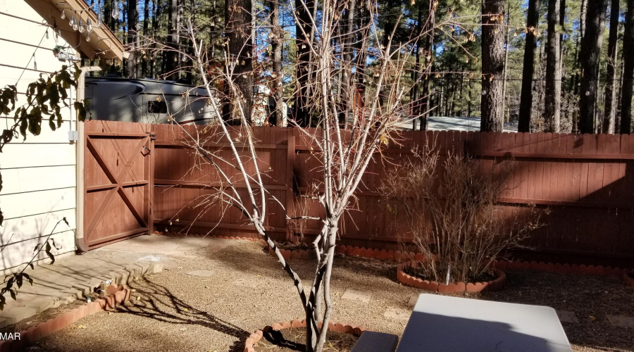 McAdam courtyard rear