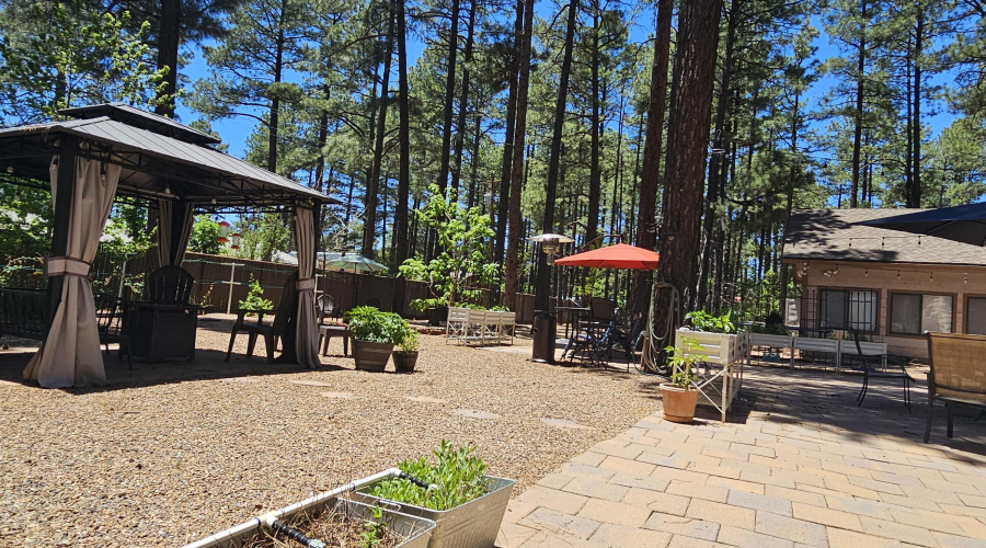 McAdam garage view from patio area