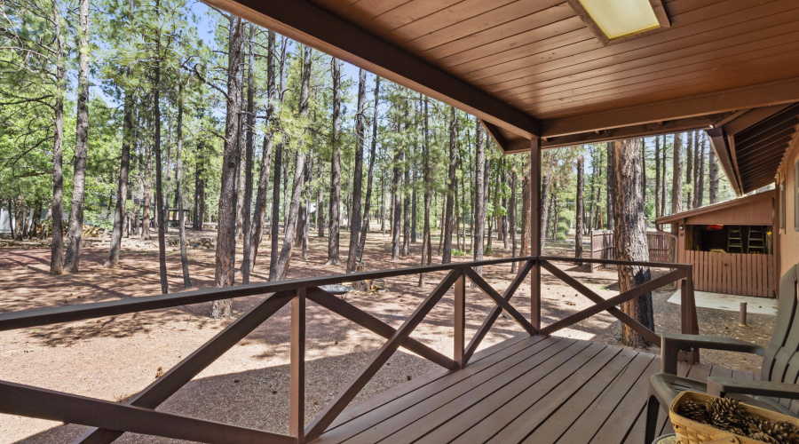 7130 Geronimo, Pinetop (7)