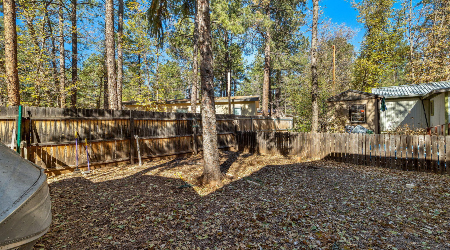 4286EBlueRidgeLoop-Pinetop-AZ-26