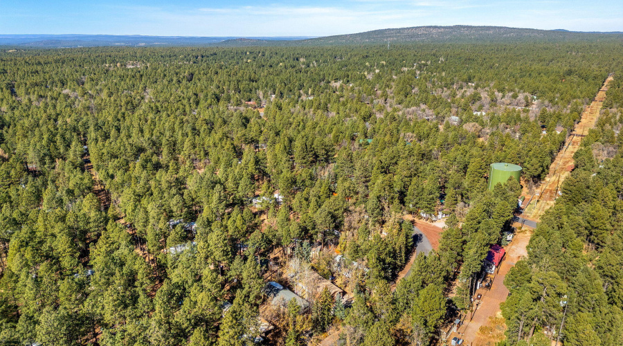 4286EBlueRidgeLoop-Pinetop-AZ-31