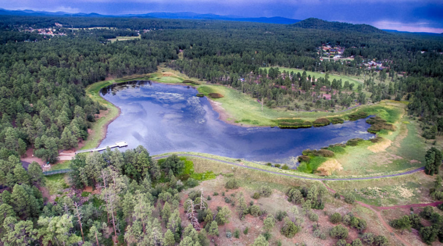 Woodland Lake