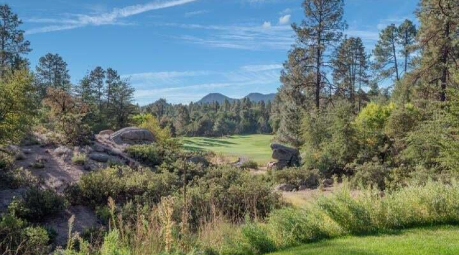 chaparral pines 10th hole