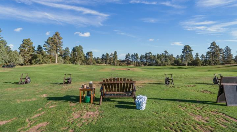 CHAPARRAL PINES DRIVING