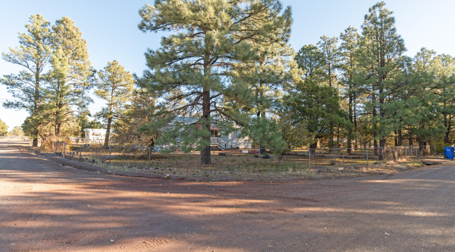 Street view of Home