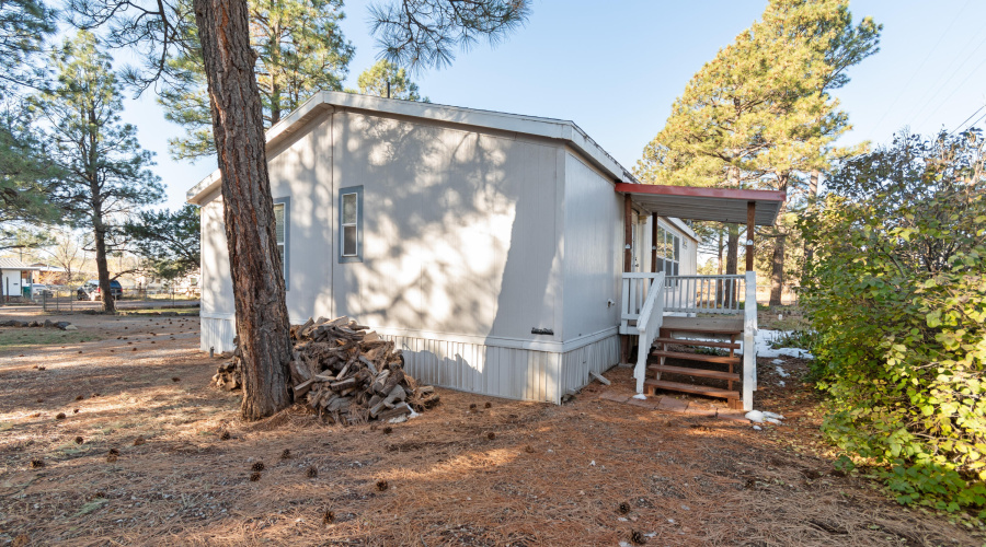 Back Deck and right side