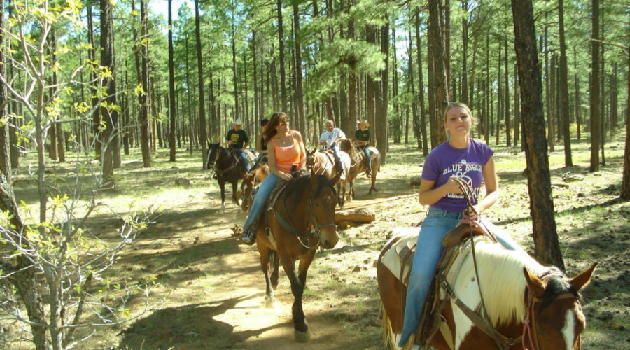 Horseback riding