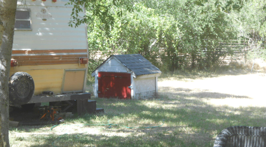 Well shed