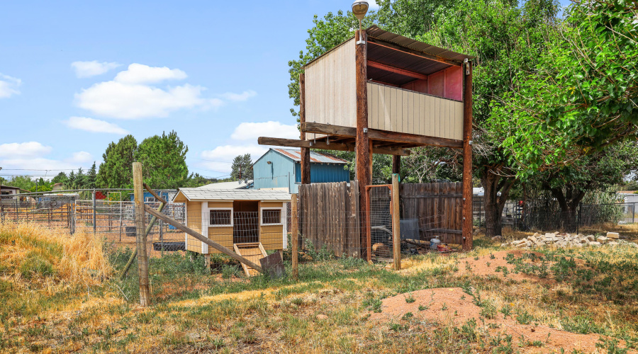 Chicken Coop