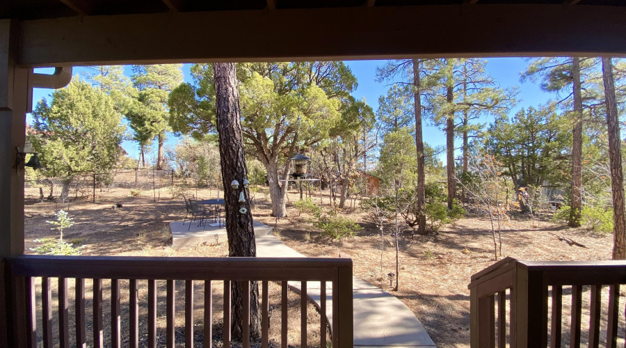 Back Deck View