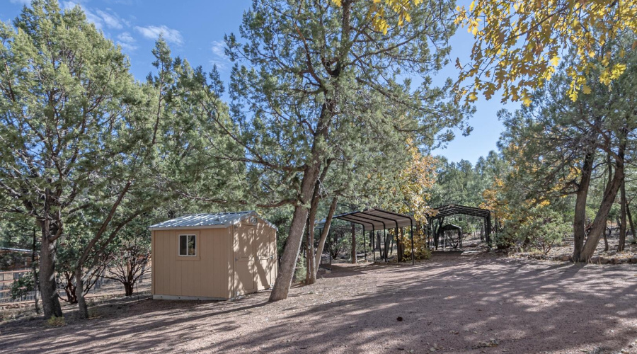 shed ad carports