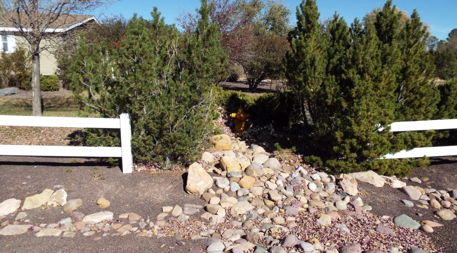 Fire hydrant on property