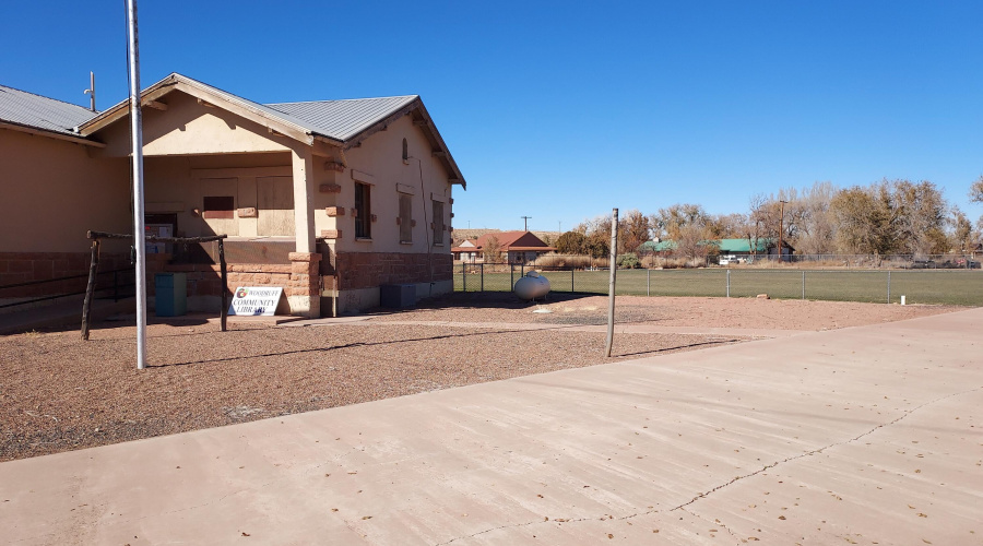 Library & field