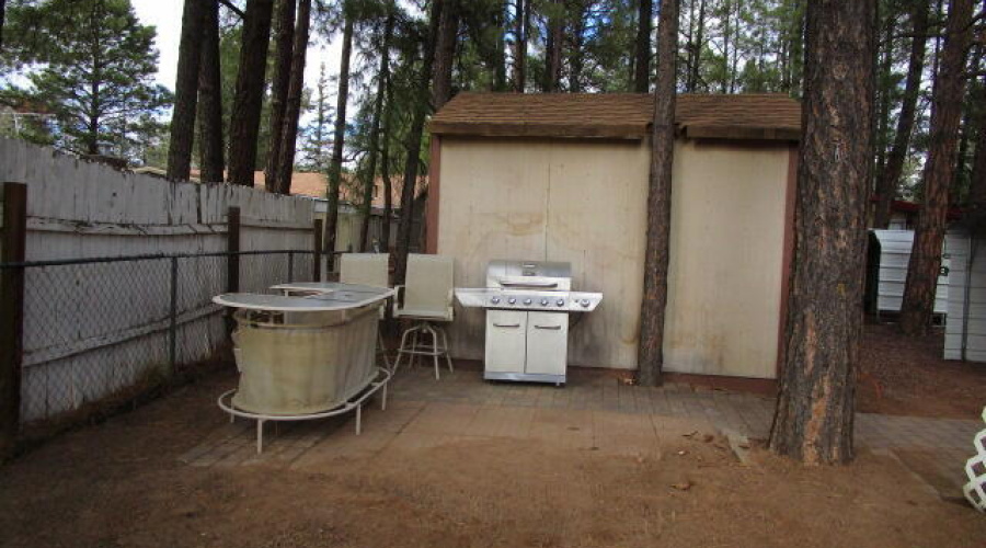 Backyard & shed