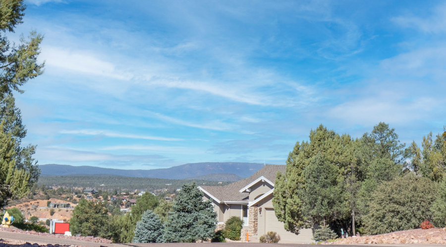 View from Driveway