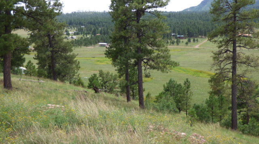 The Ranch at Alpine (13)