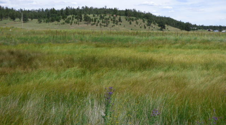 The Ranch at Alpine (6)