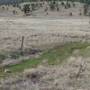 Lot 21 The Ranch at Alpine (1)