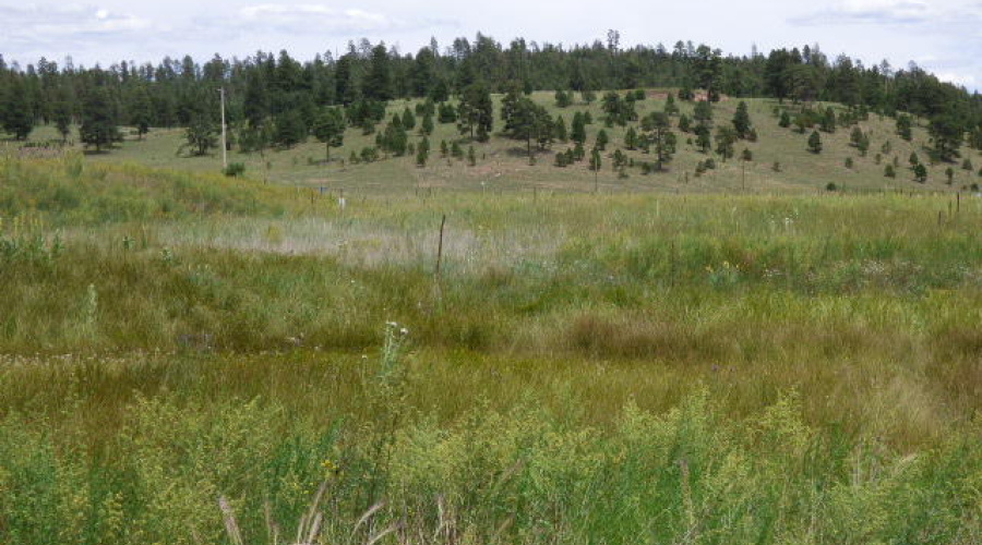 The Ranch at Alpine (18)