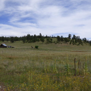 The Ranch at Alpine (3)