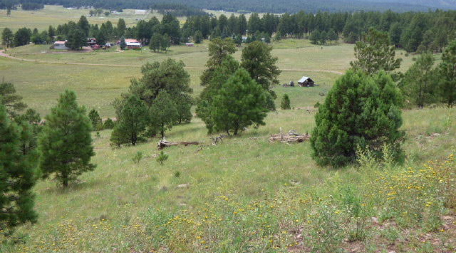 The Ranch at Alpine (7)