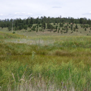 The Ranch at Alpine (18)