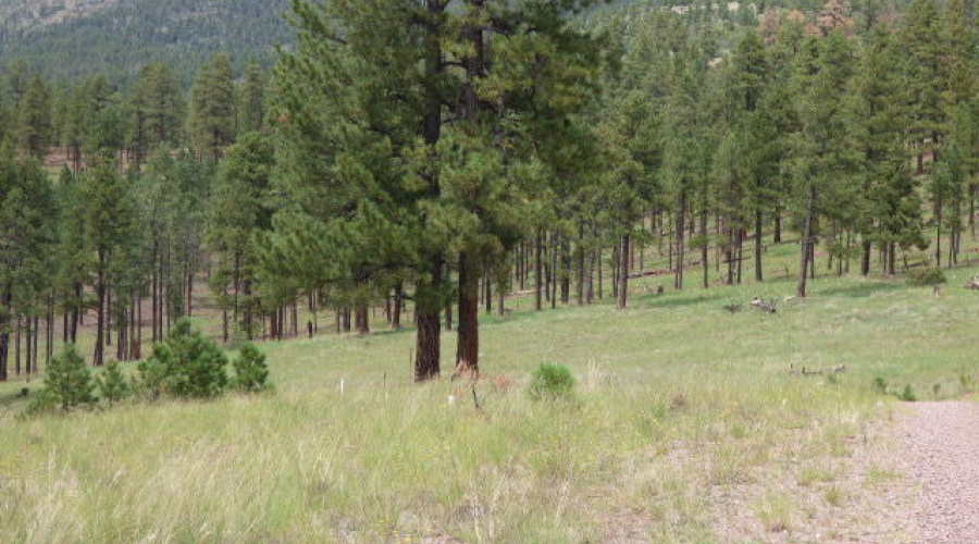 The Ranch at Alpine (9)