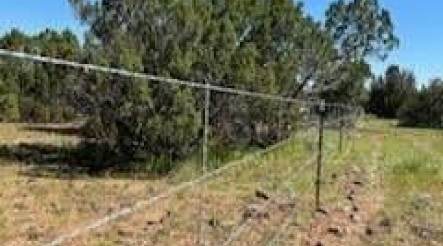 Wire fencing