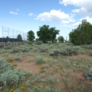 Great fairway views!