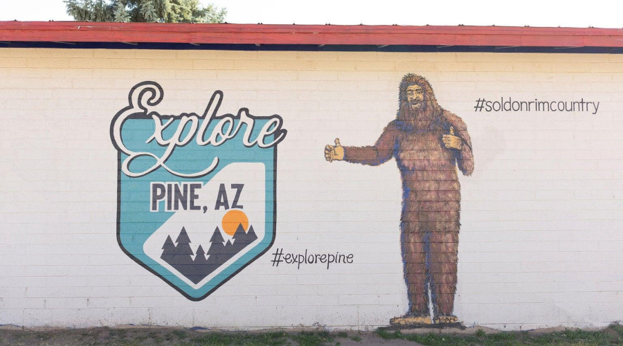 Town of Pine