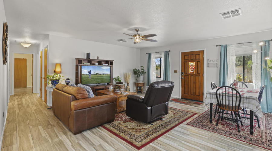 Living Room Entry Door