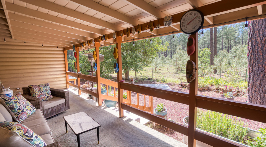 Back deck showing apple trees