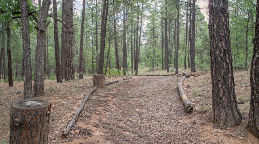 WMVV Walking Trails