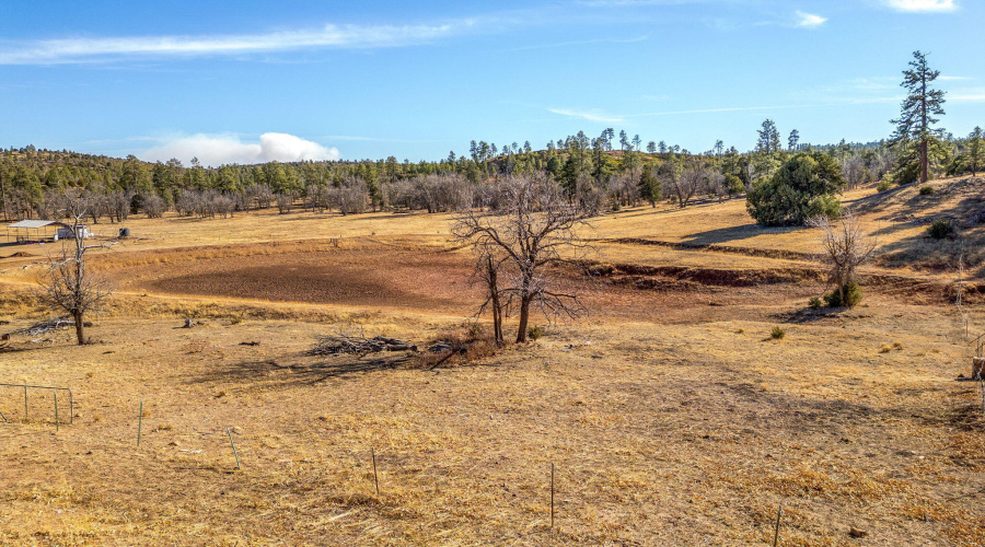 ForestRoad107AParcel-Heber-AZ-16