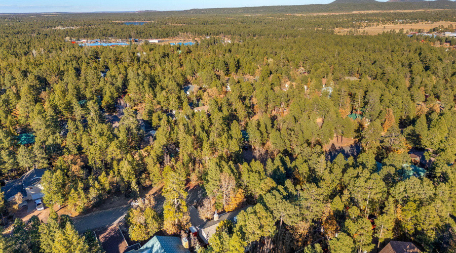 4891BlueSpruceLn-Lakeside-AZ-44