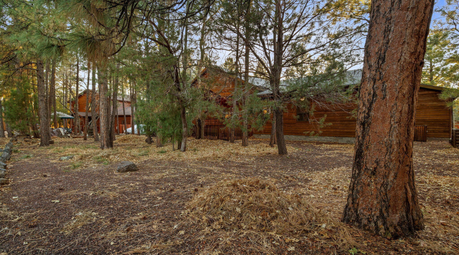 851PineCreekDr-Lakeside-AZ-13