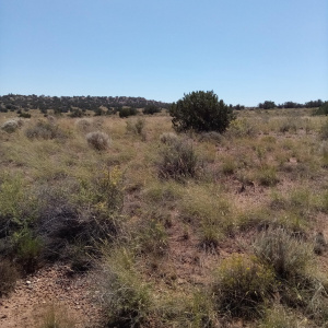 Vacant land for sale in Snowflake AZ