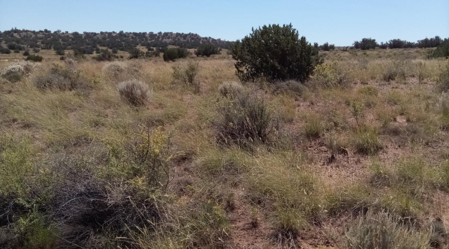 Vacant land for sale in Snowflake AZ