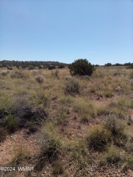 Vacant land for sale in Snowflake AZ