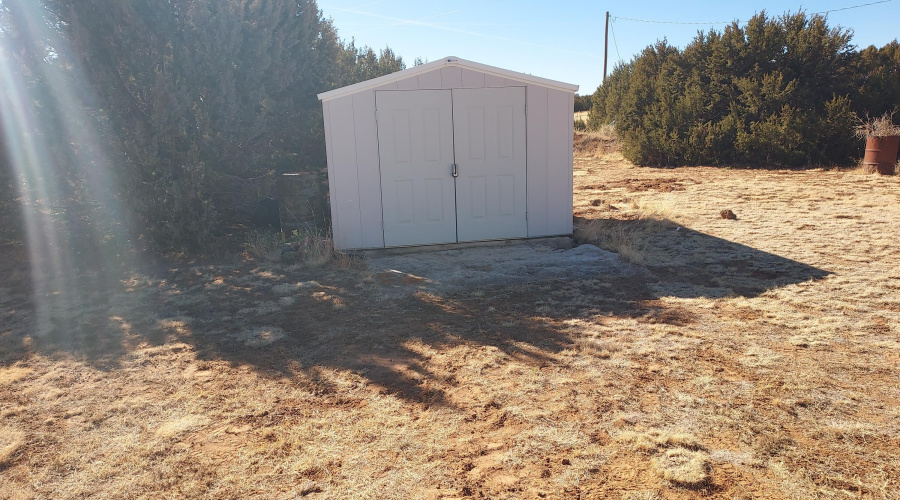 23 25 Larger shed