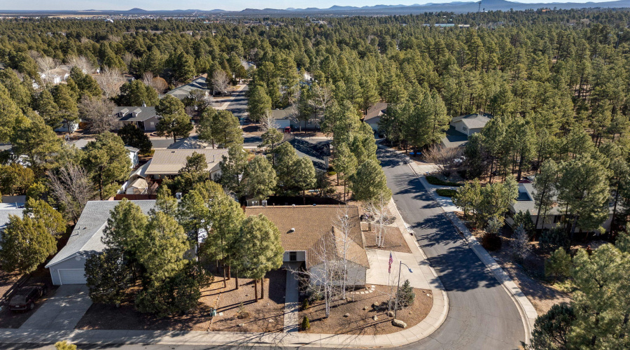 Aerial View of Community